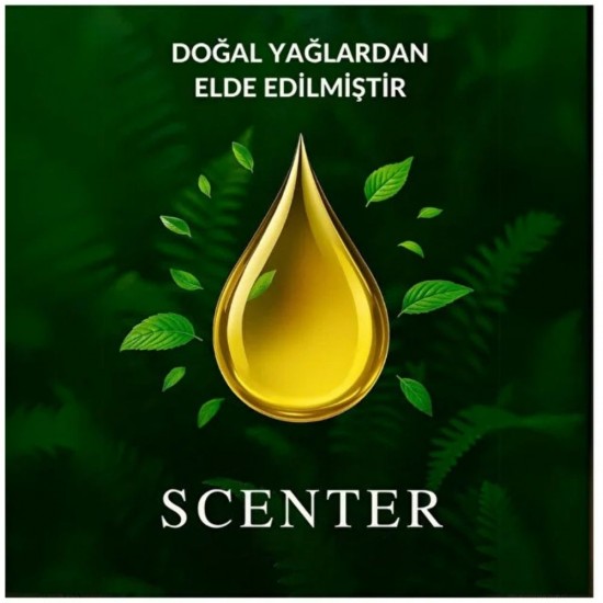 Scenter Sedir Ağacı Oda ve Çamaşır Spreyi Oda Kokusu 250 ml