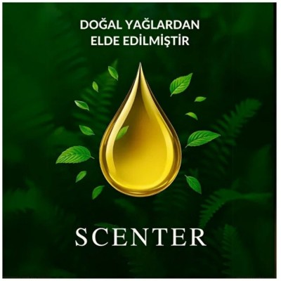 Scenter Japon Kiraz Çiçeği Oda ve Çamaşır Spreyi Oda Kokusu