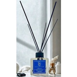 Scenter Okyanus Çubuklu Oda Kokusu